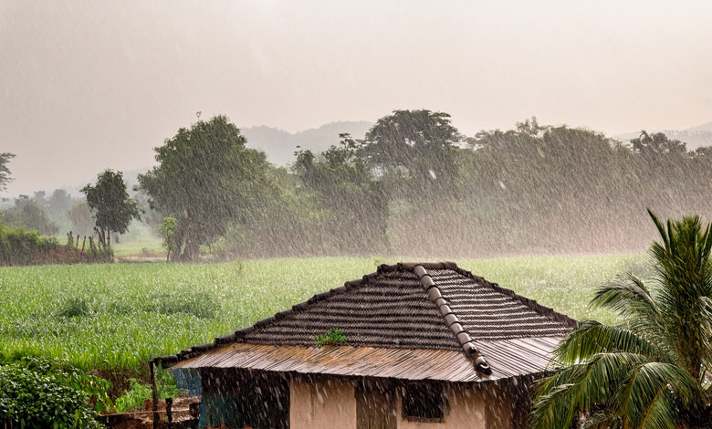 Monsoon