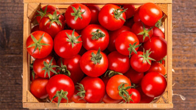 Tomato