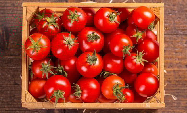 Tomato