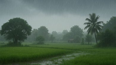 Monsoon
