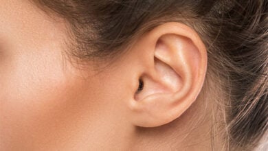 Ear