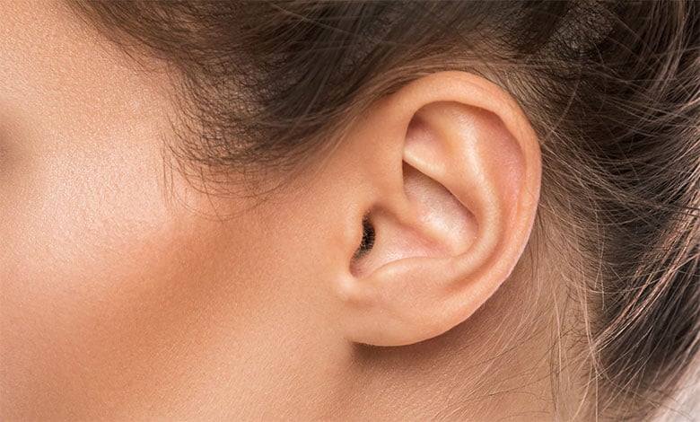 Ear
