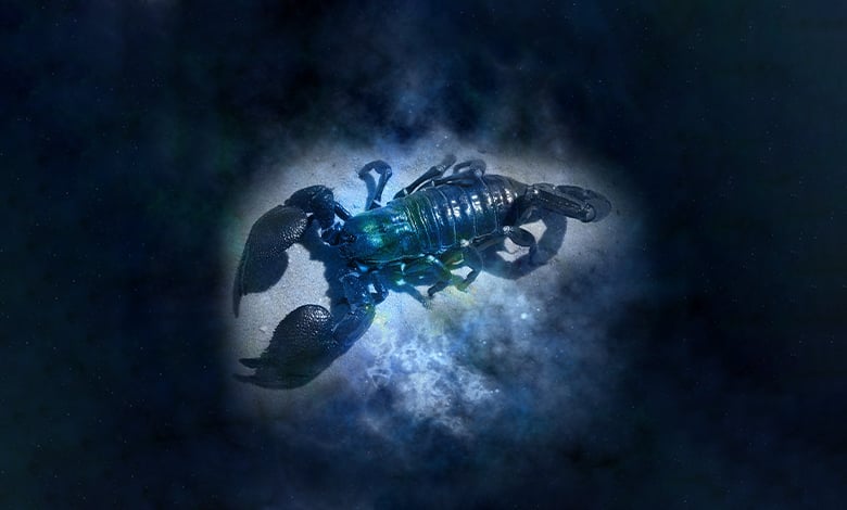 Horoscope Scorpio