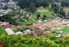 Ooty