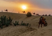 Thar Desert