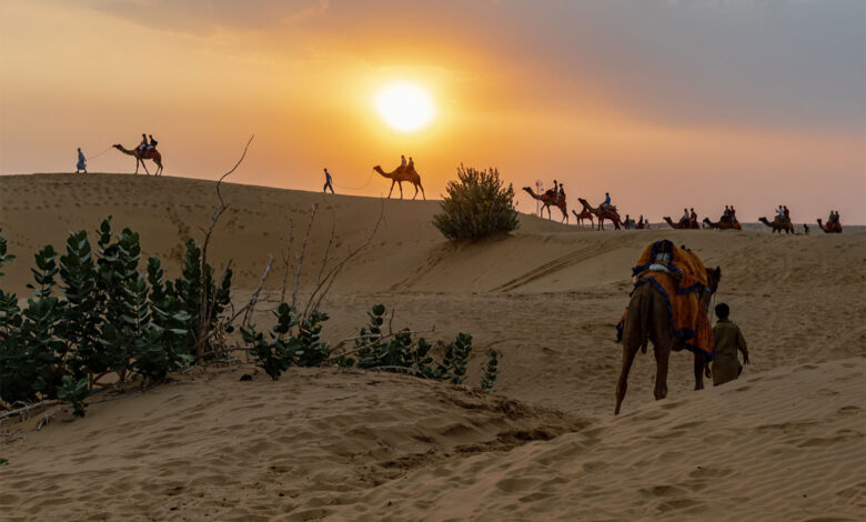 Thar Desert
