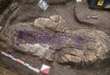 Archaeology