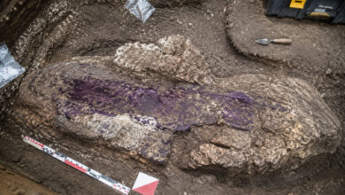 Archaeology