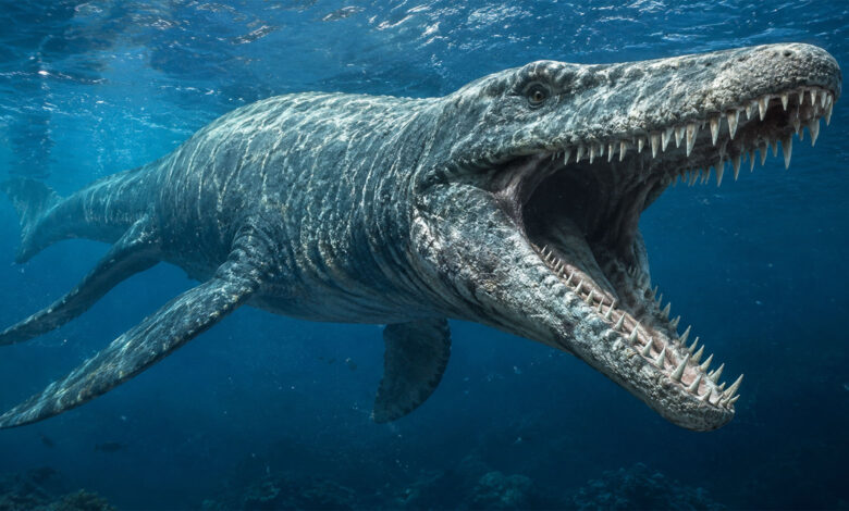 Dinosaur