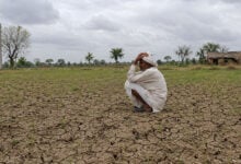 Drought
