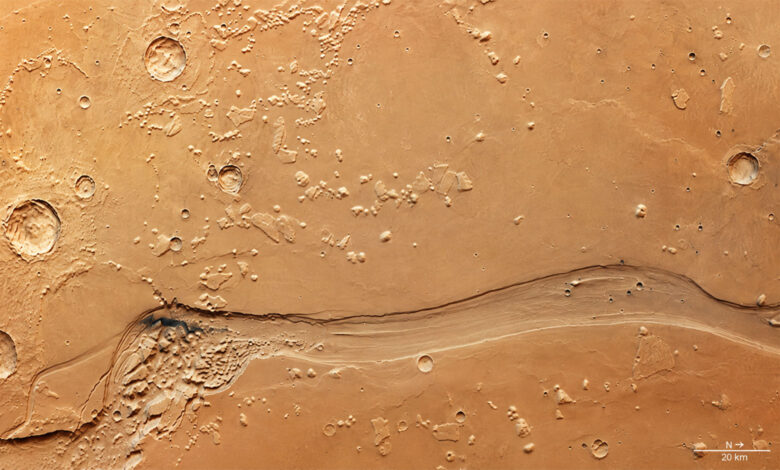 ESA