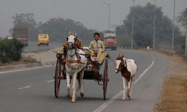 Horse Carriage