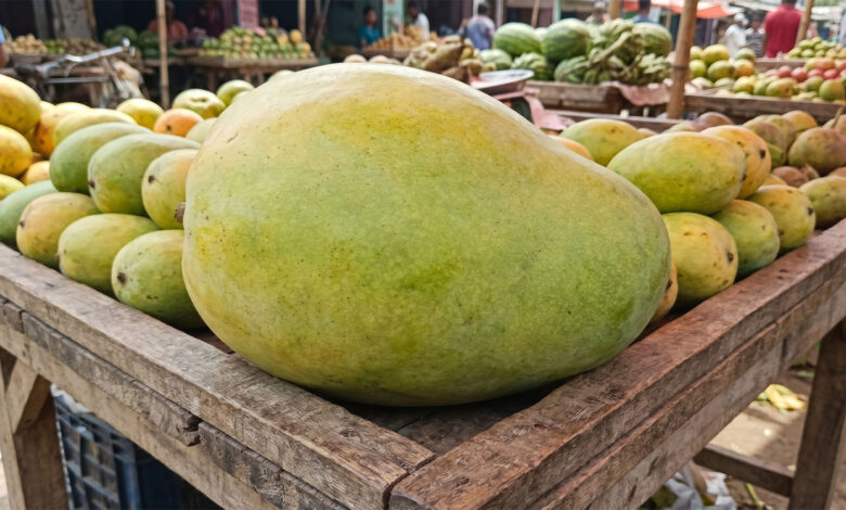 Mango