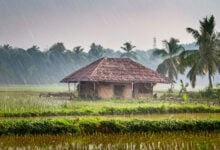 Monsoon