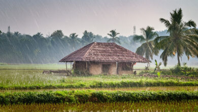 Monsoon