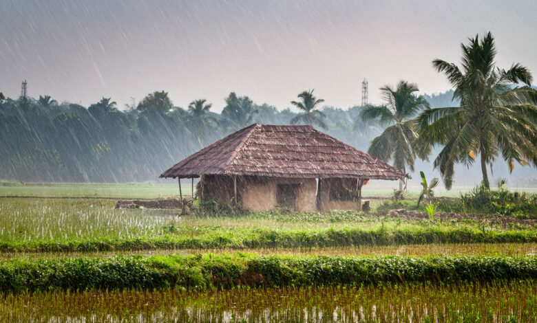 Monsoon