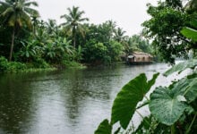 Monsoon
