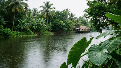 Monsoon