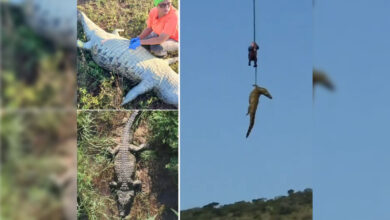 South Africa