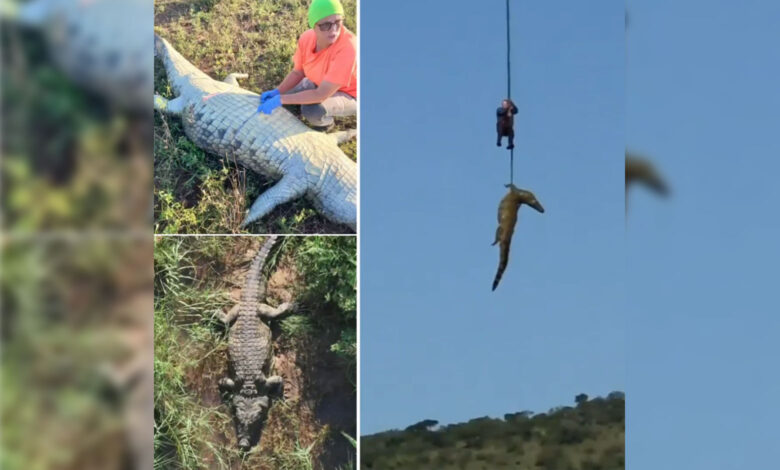 South Africa