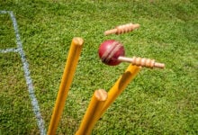 Cricket