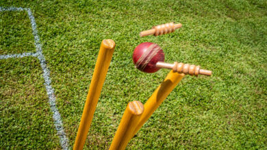 Cricket