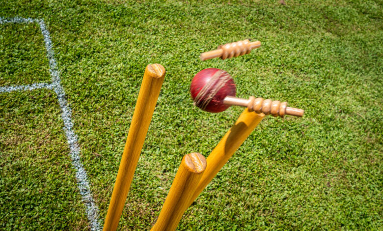 Cricket