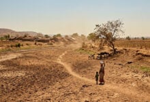 Drought