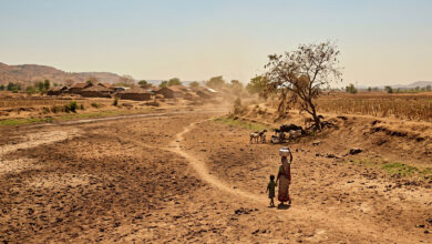 Drought