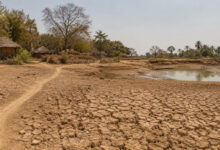 Drought