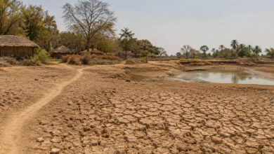Drought