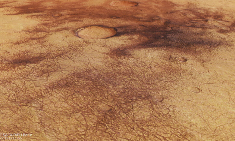 ESA
