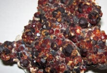 Garnet
