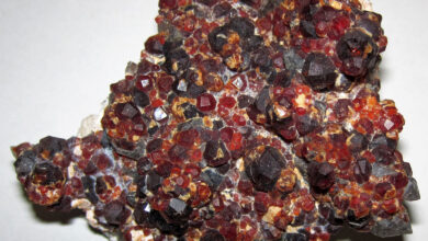 Garnet