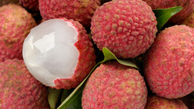 Litchi