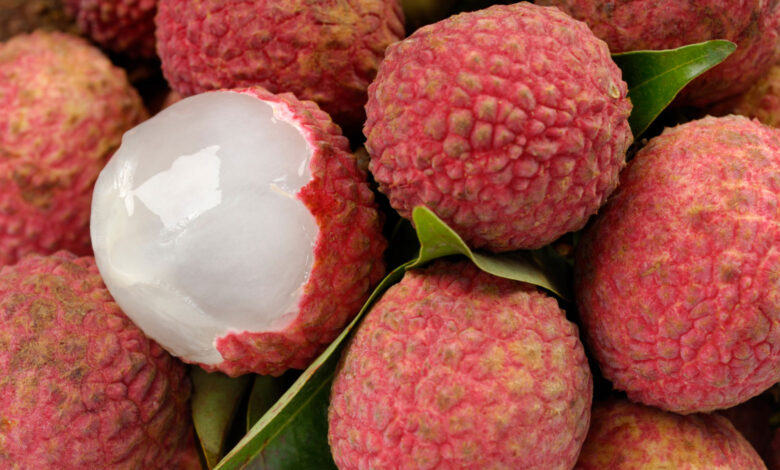 Litchi