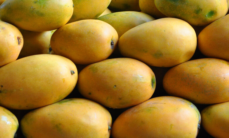 Mango