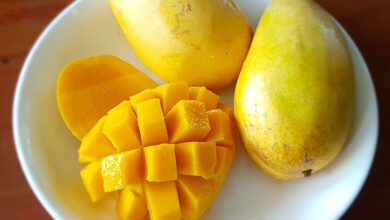 Mango
