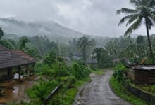 Monsoon