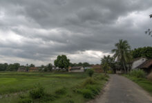 Monsoon