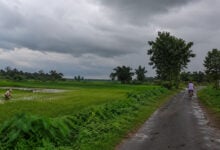 Monsoon