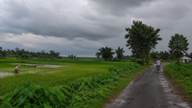 Monsoon