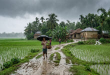 Monsoon