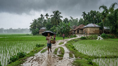 Monsoon
