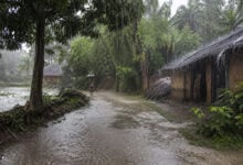 Monsoon