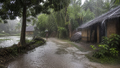 Monsoon