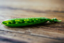 Pea