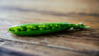 Pea