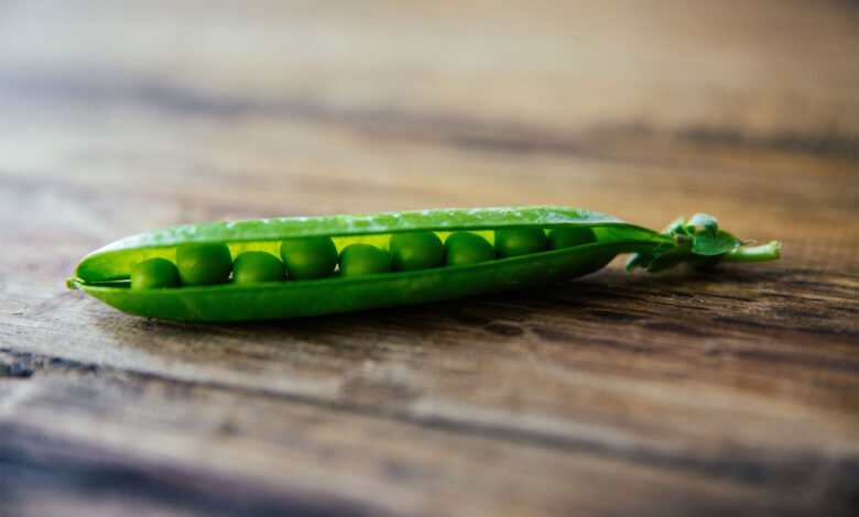 Pea