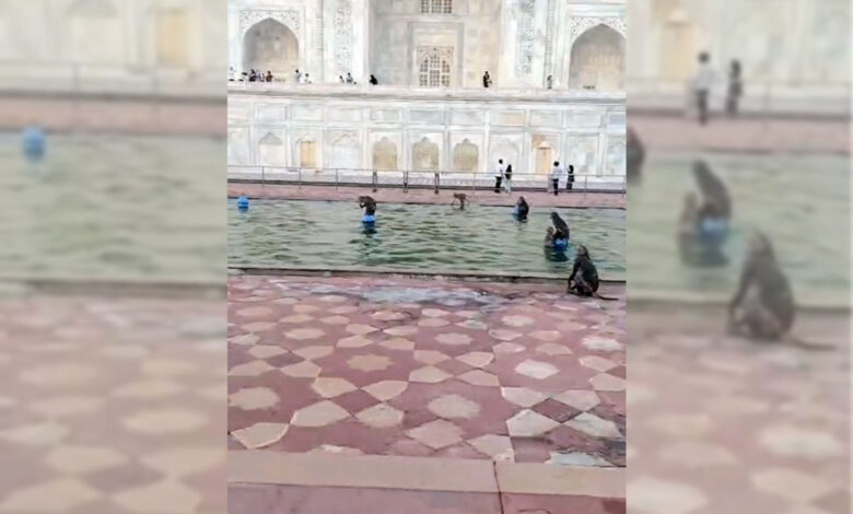 Taj Mahal